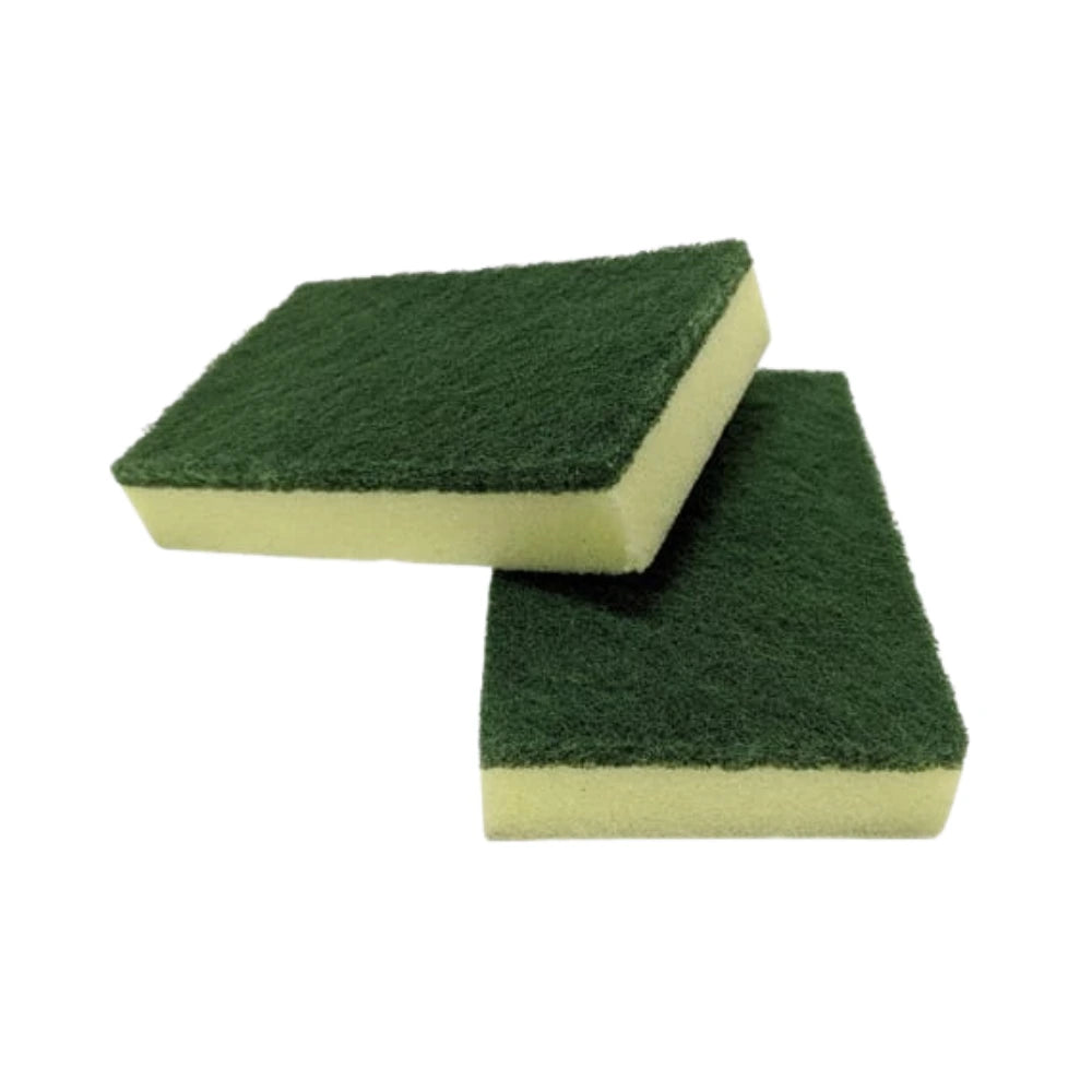 Antibacterial Sponge Scourer 10pk
